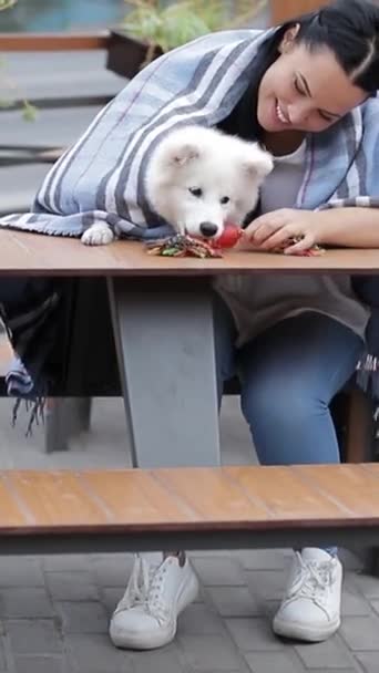 Una Mujer Con Una Compañera Raza Perro Sentada Una Mesa — Vídeos de Stock