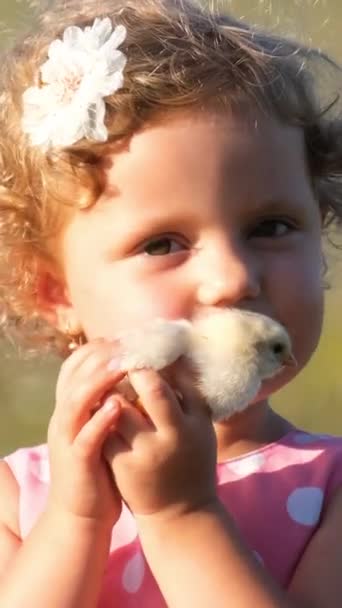 Mała Dziewczynka Delikatnie Kołysze Małego Kurczaka Dłoniach Czując Jego Miękkie — Wideo stockowe