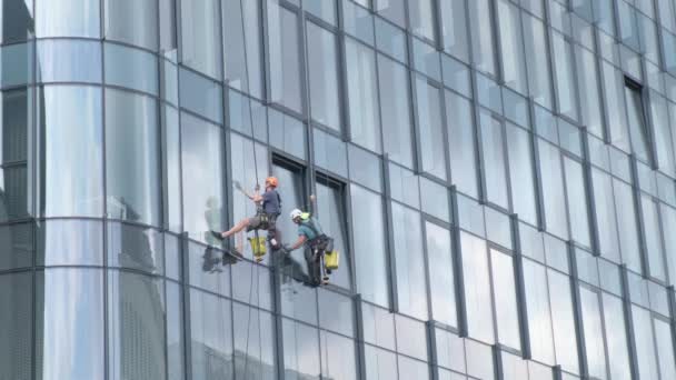 Прибирання Вікон Високому Сучасному Хмарочосі Два Чоловіки Миють Вікна Високого — стокове відео
