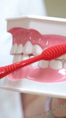Mor bir diş fırçası kullanarak, bir model takma diş fırçası kullanıyor. Plastik çene carmine ile renklendirilirken, elektrik mavisi bir moda aksesuarı sahneye canlı bir dokunuş ekler.