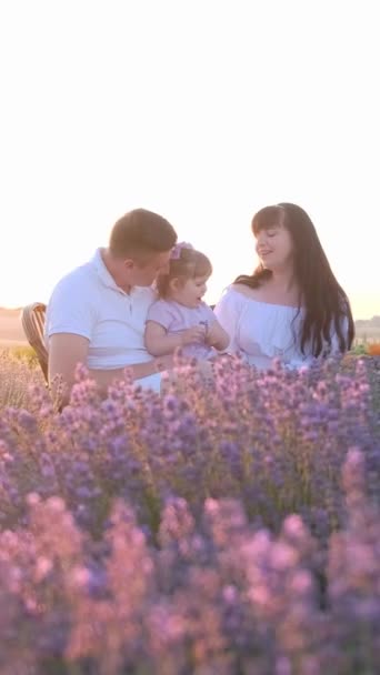 Szczęśliwa Rodzina Spędza Wolny Czas Łąkach Wypełnionych Kwiatami Lawendy Siedzą — Wideo stockowe