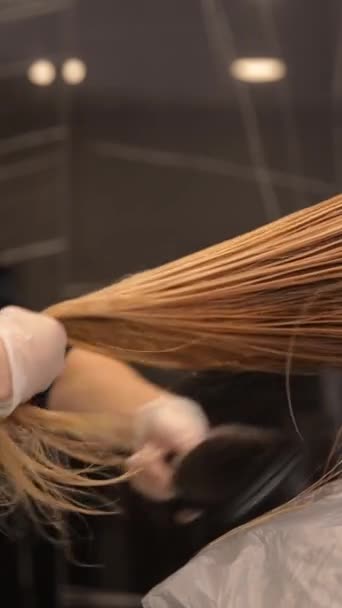 여성은 살롱에서 스타일리스트에 그녀의 머리를 갖고있다 가구와 바닥으로 둘러싸여 — 비디오