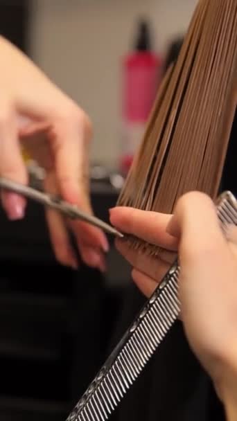 Μια Γυναίκα Χτενίζει Μαλλιά Της Από Έναν Κομμωτή Ενώ Ένας — Αρχείο Βίντεο