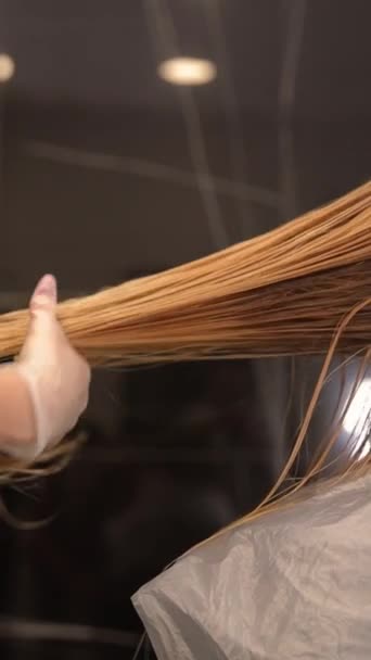 Bir Kadın Kuaförde Saçını Şekillendiriyor Etrafı Ahşap Mobilya Ahşap Zeminlerle — Stok video