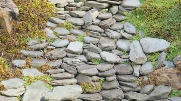 Camino Piedra Que Conduce Fondo Hierba Verde Antiguo Camino Piedra — Vídeos de Stock