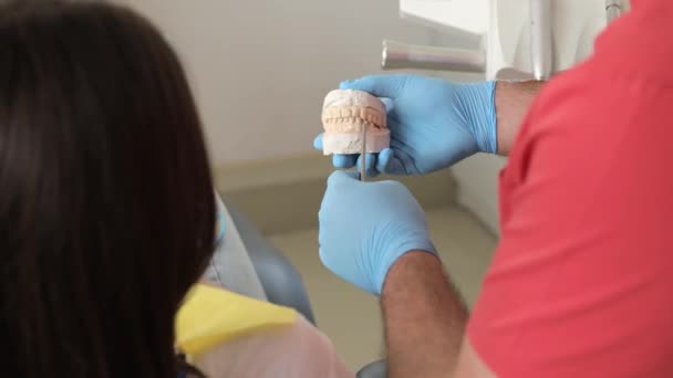 人間の歯 歯のモックアップ クローズアップ 医用手袋の医師は顎のモデルを示し 歯の問題について患者に伝えます — ストック動画