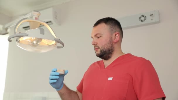 Portret Lekarza Dentysty Trzymającego Model Szczęki Stojącego Pod Ścianą Gabinecie — Wideo stockowe