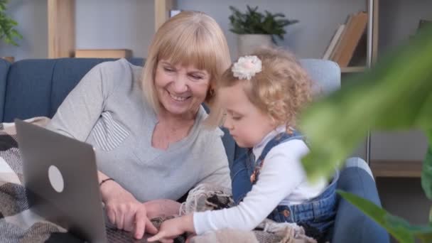 一位老妇人和一个小女孩正在一家幸福的房子里的沙发上共享一台笔记本电脑 当他们悠闲地使用被植物包围的个人电脑时 他们笑了 — 图库视频影像