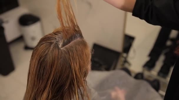 Fryzjer Maluje Korzenie Blond Włosów Pędzlem Dla Kobiety Średnim Wieku — Wideo stockowe