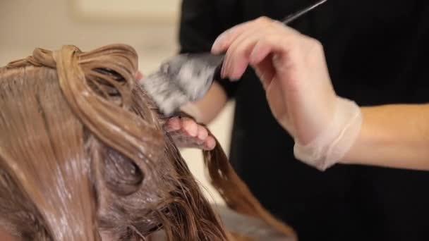 美容室で髪を染める 美容師は ブラシをかけた女性のお客様の髪に塗装を施しています ヘアカラーリング — ストック動画