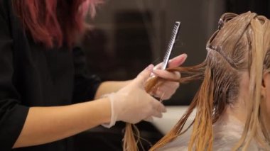 Bir kuaför kadın saçı boyama aşamasında boyamak için tel seçiyor. Saç tonu. Yüksek kaliteli amonyaksız boya kullanımı