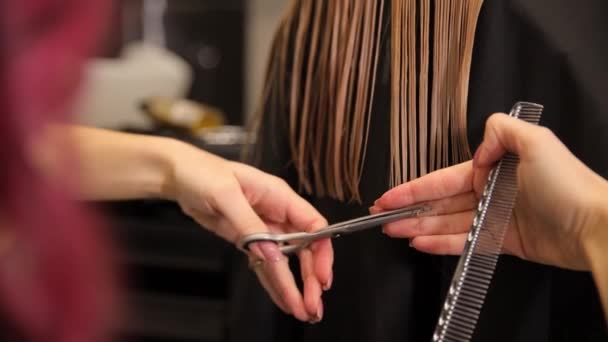 Uzun Sarı Bir Kadın Saçının Yakın Çekimi Genç Bir Kuaför — Stok video