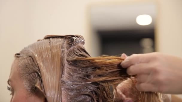 ブラシで女性の髪にペンキを塗る美容師のクローズアップ プロのアンモニアフリーペイントによる髪の着色 — ストック動画