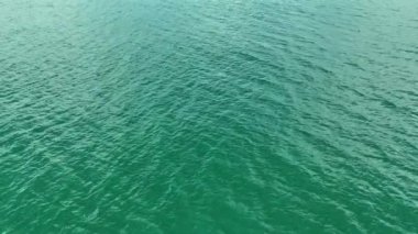 Yumuşak dalgalı yeşil bir su yüzeyinin huzurlu görüntülerine dalın. Bu video dalgalanan suyun yakın çekimlerinde sakinliği somutlaştırıyor, rahatlamak için mükemmel.