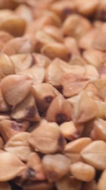 Bu video karabuğday tanelerini araştırıyor, yakın çekimler yoluyla eşsiz dokularını ve güzelliklerini vurguluyor, basitliklerini takdir etmelerini sağlıyor.