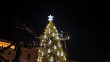Bir vinç gece bir Noel ağacını süsleyip üzerine bir yıldız yerleştirir. Ağaç ışıklarla parıldıyor, tatil ruhunu güçlendiriyor.