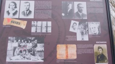 OSWIENCIM, POLAND - 24 HAZİRAN, 2023 Auschwitz Birkenau kadın kurbanlarının portreleri. Alman Nazi toplama ve imha kampı. 