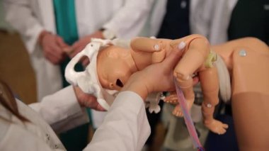 Doktor yeni doğmuş bir bebeğin kuklasını elinde tutuyor. Jinekoloji öğrencilerinin eğitimi. Yüksek kalite 4k görüntü