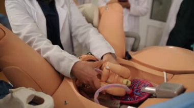 Jinekoloji öğrencileri bir manken üzerinde muayene ve kabul alıştırması yapıyor. Jinekoloji. Yüksek kalite 4k görüntü