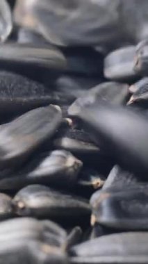 Ayçiçeği tohumlarının sanatsal makro görüntüsü zengin dokularını ve doğal güzelliklerini güzel bir şekilde sergiliyor.