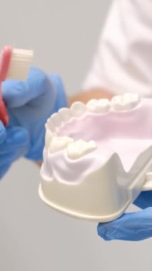 Bir diş hekimi, prosedür sırasında gerekli oral bakım tekniklerini etkili bir şekilde gösterir.