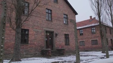 Auschwitz toplama kampının kışlasında kış ağaçları vardı. Soykırımı ve tarihi trajediyi hatırlatan korkunç bir şey..