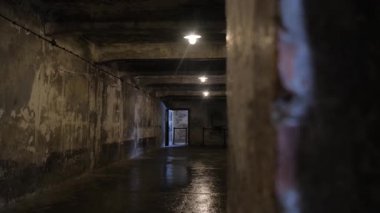 Soğuk beton duvarları olan Auschwitz 'teki loş bir gaz odası Holokost zulmünü anımsatıyor..