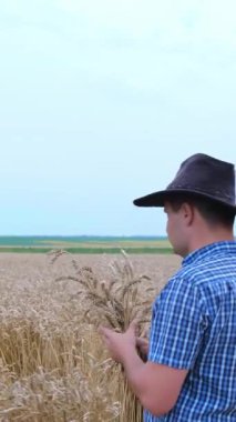 Şapkalı bir çiftçi güneşli bir tarlada buğday saplarını inceliyor, tarımı ve doğayı uyum içinde gösteriyor.