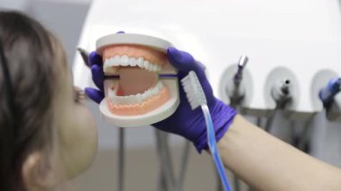 Bir dişçiye dişlerini nasıl fırçalayacağını gösteren bir dişçinin yakın çekimi. Bir çocuk için diş muayenesi.