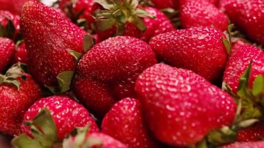 Parlak taze çilekler, sulu dokularını ve parlak, çekici renklerini gösteriyorlar..