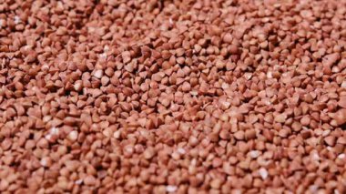 Karabuğday yetişir. Sağlıklı yemek..