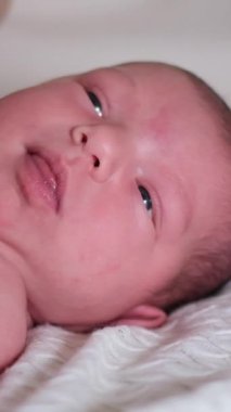 Yumuşak bir battaniyede dinlenen, kameraya nazikçe bakan yeni doğmuş şirin bir bebek. Dikey video. 