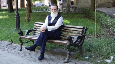 Parktaki bankta oturan uzun beyaz sakallı yaşlı adam. Güneşli açık havada düşünceli bir ifade takınıyor.. 