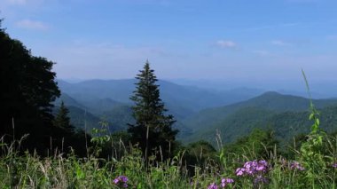 Bereketli dağların ve berrak mavi gökyüzünün altında açan kır çiçeklerinin resimsel panoramik görüntüsü, hayranlık uyandırıcı.