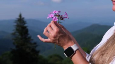 Bir kadının ellerini nazikçe pembe kır çiçeklerini tutarken gösteren narin bir sahne, dağların nefes kesen manzarasına karşı çekilmiştir..