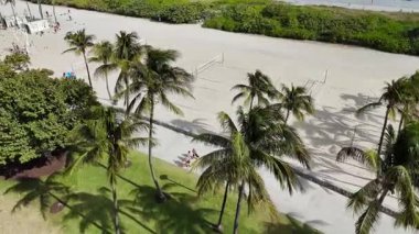 Miami sahilinin insansız hava görüntüsü, palmiye ağaçları ve kumda voleybol sahaları. Güneşli tropikal atmosferde insanlar açık hava aktivitelerini seviyor.