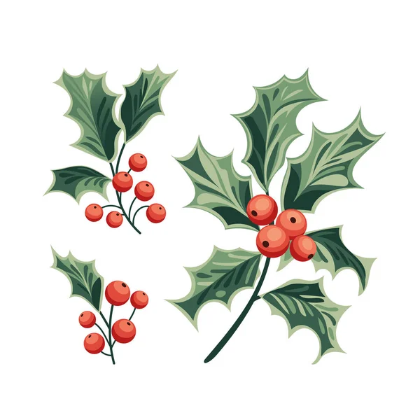 Illustration Holly Berry Branches Red Berries Green Leaves Branches Arranged — Stock Vector