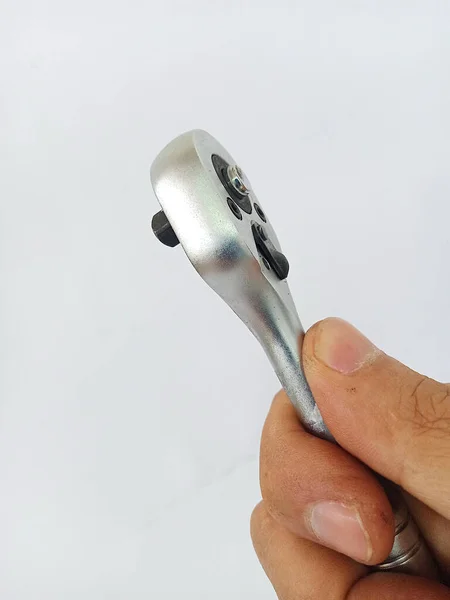 Beyaz arka planda bir fotoğraf stüdyosunda bir insan eli tarafından kavranan bir cırcırböceğinin yakın plan görüntüsü.