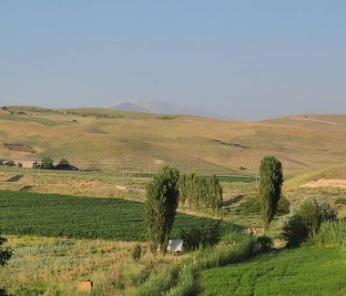 Yeşil tarlaların, yüksek kavak ağaçlarının ve arka planda dağlar olan yuvarlanan tepelerin bulunduğu güzel bir kırsal alan. Sıcak güneş ışığı karanın ve bitki örtüsünün dokusunu ön plana çıkararak bir sükunet ve doğal uyum atmosferi yaratıyor..