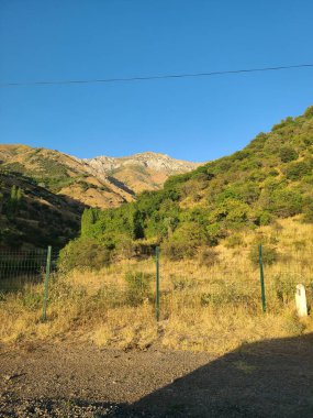 Dağ yamacında açık mavi gökyüzünün altında yeşil bitki örtüsü