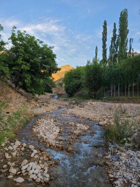 Gün batımında yemyeşil yemyeşil, kayalık bir arazide akan dağ deresi.