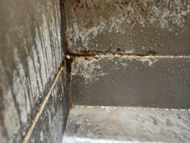 Süt üretim fabrikalarından uzun zamandır temizlenmemiş artık süt sızıntıları.