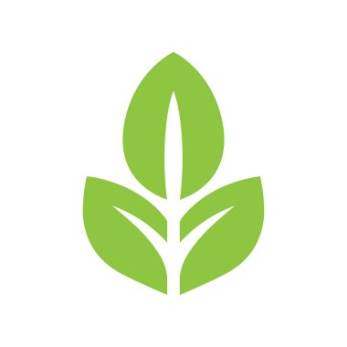 Beyaz arkaplanda basit bir yeşil yaprak simgesi. Vektör