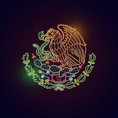Icon Mexico 'nun neon vektörü bayrağın üzerinde detaylarıyla.