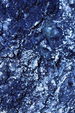 İnce taneli doğal ağaç dokusu..