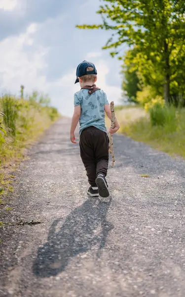 Elinde sopayla yaz zamanı tarlalar arasında yürüyen bir çocuk..
