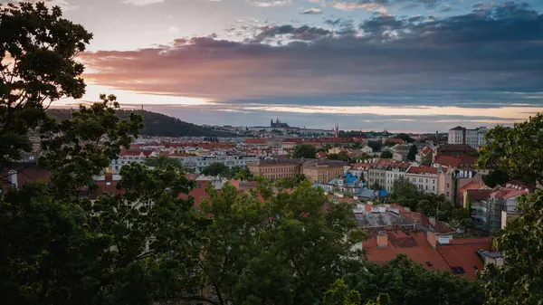 Yazın gün batımında Vyehrad 'tan Prag Kalesi manzarası. Şehrin çatılarının muhteşem manzarası..
