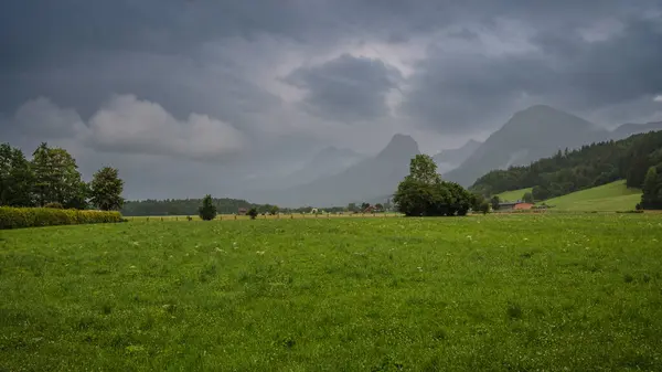 Dağların altındaki çayır çiçekleri ve fırtına sırasında arka planda bir dağ köyü. Dağları kaplayan ağır gri bulutlar.