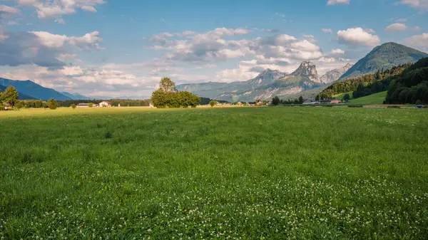 Alp dağlarının altındaki çayır çiçekleri ve altın saat boyunca arka planda bir dağ köyü..