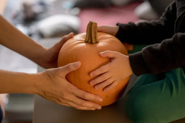 Anne ve oğlunun elleri Cadılar Bayramı için oymadan önce bir balkabağı tutuyor.